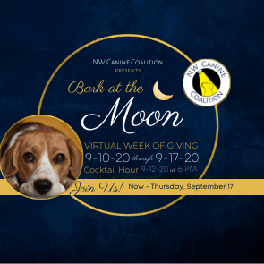 NW Canine Coalition’s Bark at the Moon Virtual Gala 2020